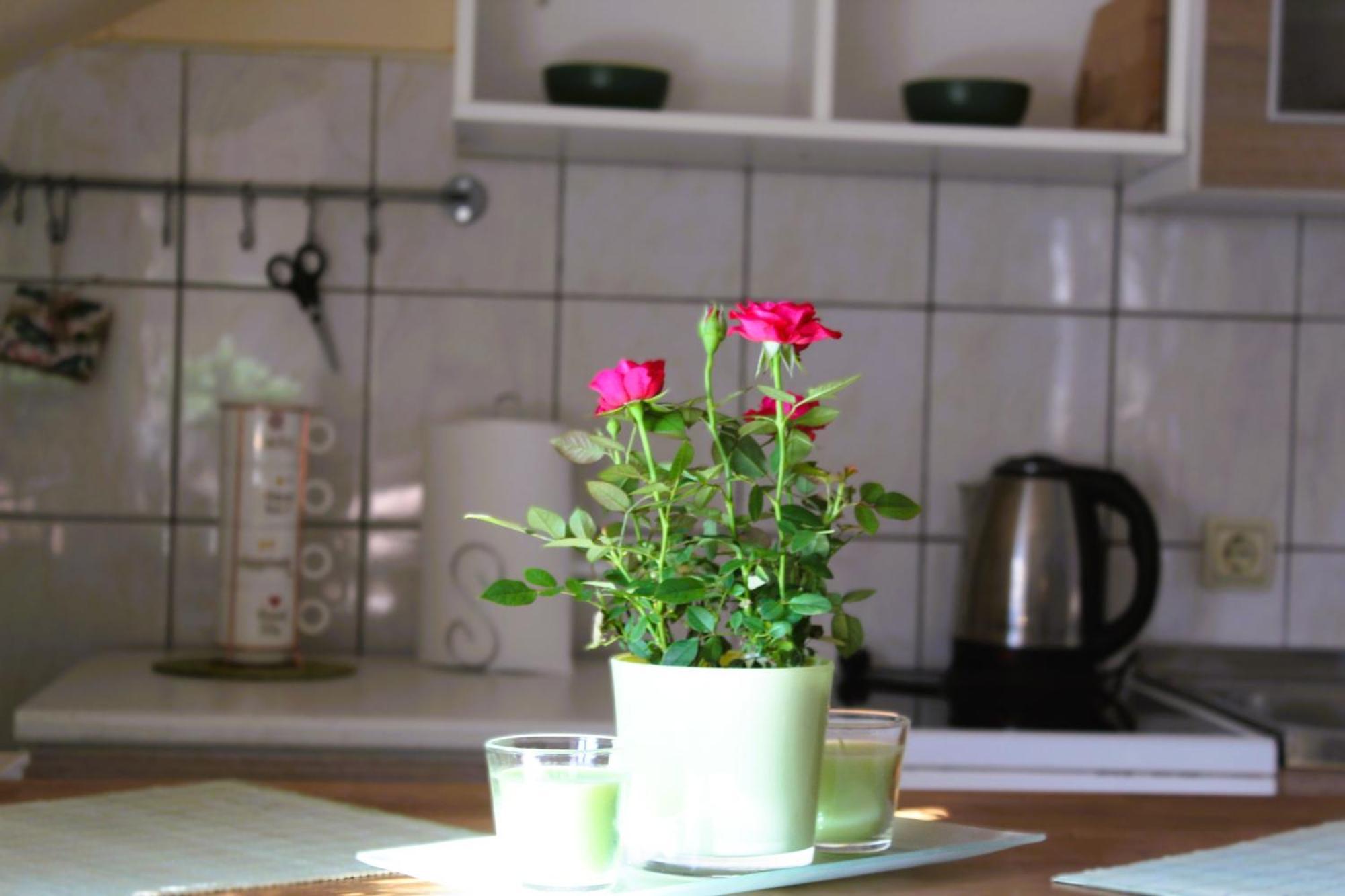 Svila Apartmani Bihać Dış mekan fotoğraf